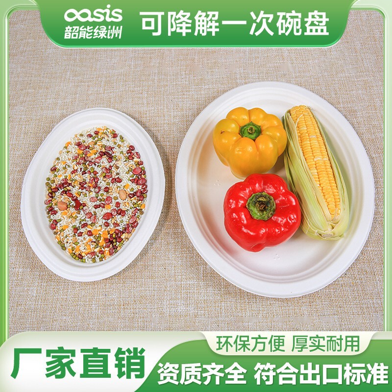Shaoneng Oasis Bagasse Pulp Bamboo Pulp Small Elliptical Disc Environmentally Friendly High Temperature Resistant Disposable Tableware Degradable Compostable