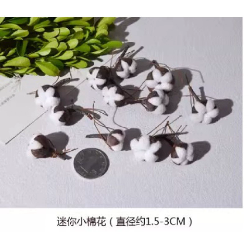 Organic sample, photo frame handmade, Christmas materials set, DIY