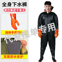 ȫˮѝBwˮឲ~ѝRӺĥƤץ~ˮѝ