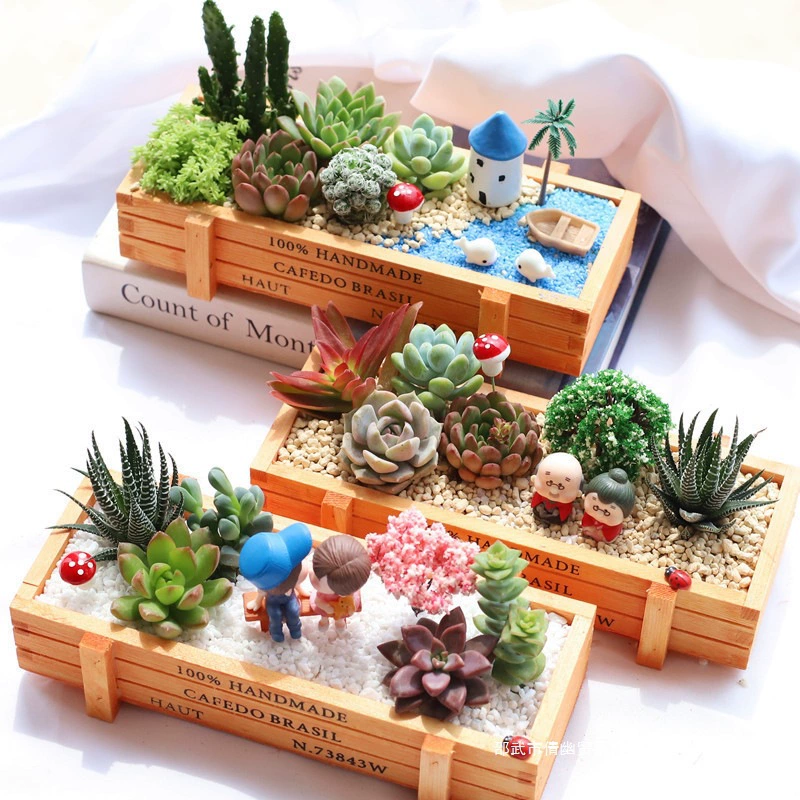 Комбинация суккулентных растений в горшках, пакет с суккулентами, материал для микро-ландшафта «сделай сам», включает в себя горшки с почвой, комнатные зеленые растения, бесплатная доставка