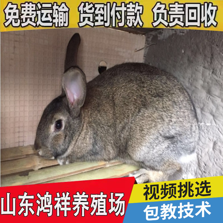 conew_搜狗截圖22年04月14日2114_67_看圖王