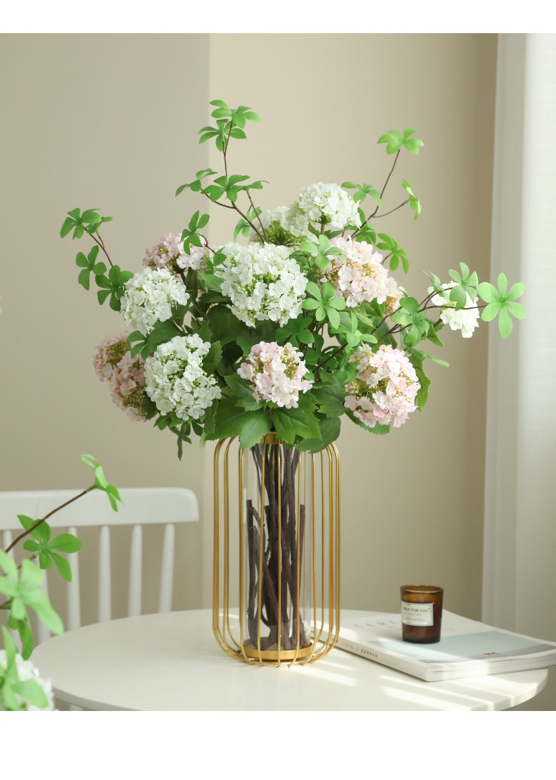 IMG_2825(20230310-105251)