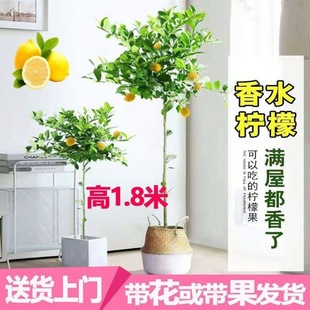 �ļ��Y�����ʘ��������l�̨������������ͥԺֲ��ˮ����Gpi'fa