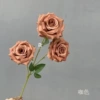 Coffee color