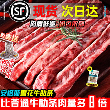 ţrԭѩţߗl˹ȥMڟţ