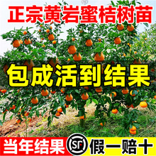 �S���۽���޽ӽ��Ә���o���������������r�۽۹����箔��Y����