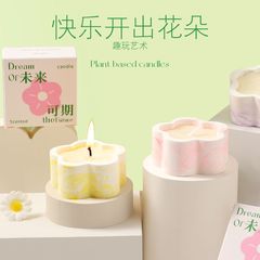 新款小花园现代简约花香香薰蜡烛生日礼物小众香氛家用礼盒批发价
