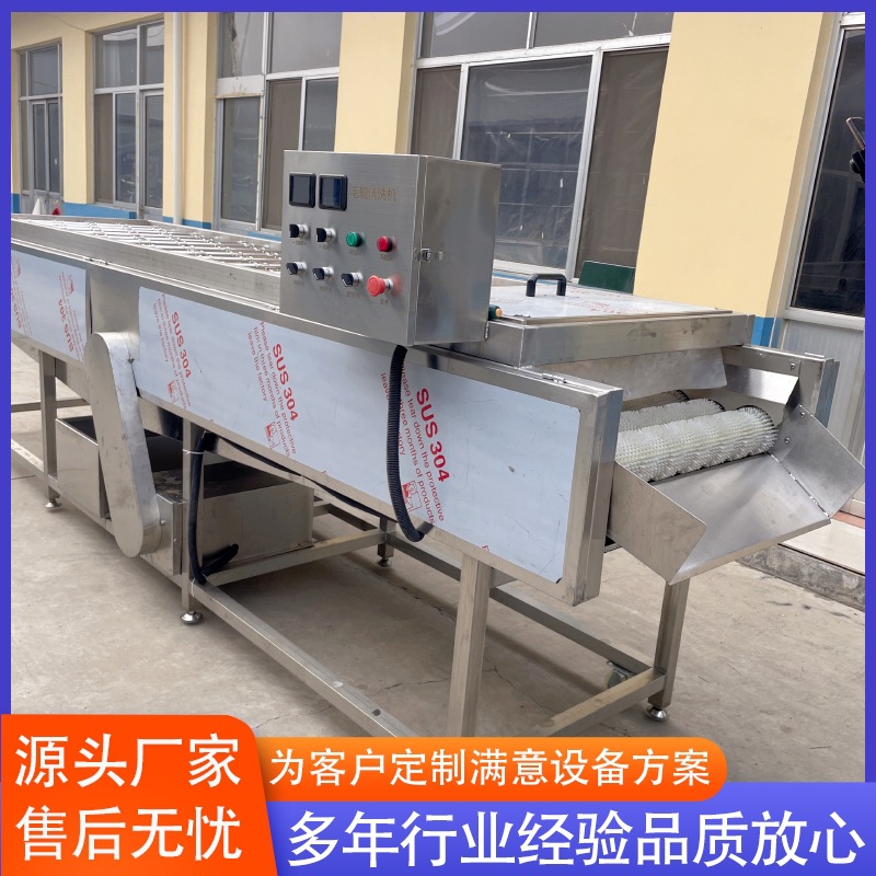 全自动胡萝卜毛辊清洗机流水线 土豆丝加工去皮机设备 厂家供应