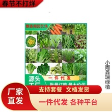 �߲˷N���ļ��������̨̫ꖻ����϶��Ǹ��{�S�ϲ�ݮ��˷N�Ѵ�ȫ