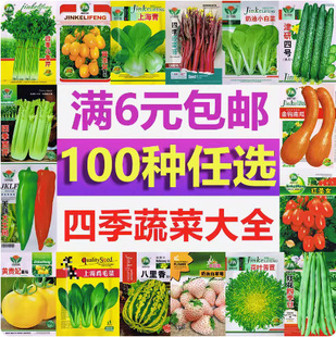 �߲˷N��ԭ�b�ļ����NͥԺ�̨�r��������˷�������ˮ���N������