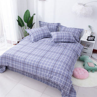 Aloe Cotton Four-Piece Set Bed Cover Stall Running Bed Sheet Quilt Cover Pillowcase Wholesale Plant Cashmere Pillowcase