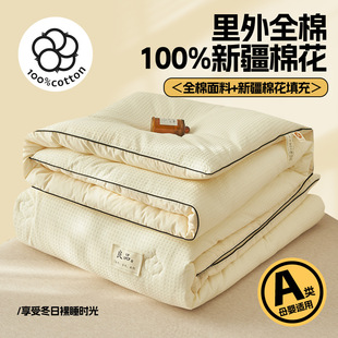 Class A pure cotton 100 Xinjiang cotton inside and outside cotton winter quilt thickened warm spring and autumn quilt winter quilt core