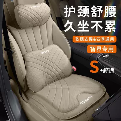 Headrest Headrest and Lumbar Support, Special