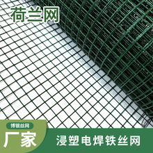 浸塑荷兰网养殖网养鸡鱼塘圈地低碳护栏网焊接绿色铁丝保护围栏