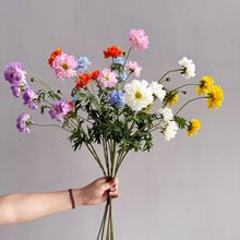 ����С����f�۾�С�r��С���²�˹�ռٻ����滨ҰȤ��@���@�쾰