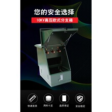 DFWK-10KV/630A  一进一出 不带SF6开关 高压分支箱 铁壳电缆桥架