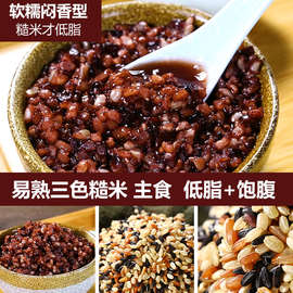 三色糙米新米糙米饭500g五谷杂粮健身粗粮米黑米红米糙米发芽脂减