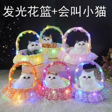 �l�⻨߅�@�ӿɐ�؈�乷�����ӕ��з����o�B����ģ�͵ؔ����N�Y��