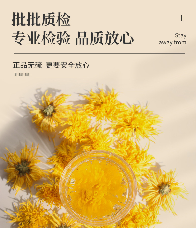 Golden Silk Chrysanthemum Tea Large Blooms Jin Si Huang Ju One Flower Per Cup 20g in use