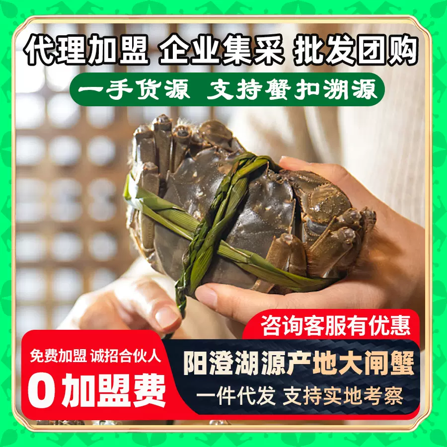 江苏阳澄湖镇大闸蟹公司团购节日送礼螃蟹河蟹清水蟹优惠批发代理