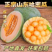 ɽ�|���r���ܹϮ������ڮ���ˮ�������۹ϬF؛�ٰl�����֭һ����