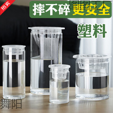 ˮ����������͸���A���λ����߲˶��N�Ӷ�����֦�t����ֲ�@�Nֲƿ