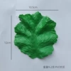 12cm, 10.5cm