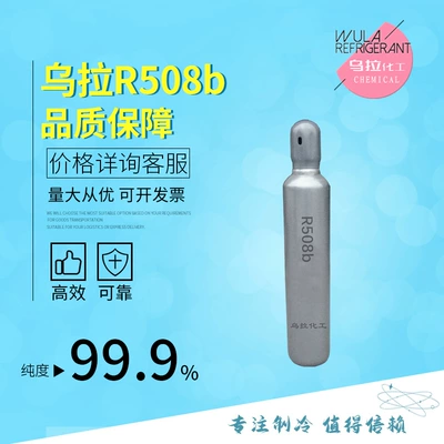 R508B ultra-aşağı temperatur ekoloji təmiz soyuducu -87 ℃