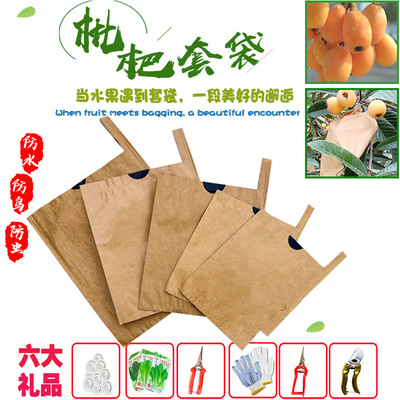Loquat Special Bag Beear Bag Peach Apple Сумка прочная дождь -защищенная от манго насекомые птица сгущенной фруктовой бумаж