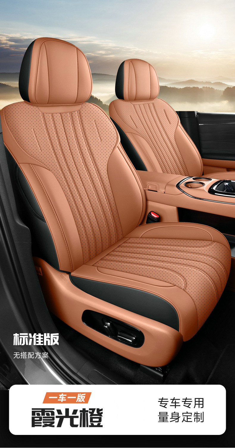 25 EAN V Tyrannosaurus Rex Special PLUS Car Seat Cover Four Seasons Universal Full Envelope Cushion Seat Cover Leather