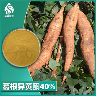 ������Sͪ40%�����ȡ������98%puerarin����S�ظ���Sͪ��