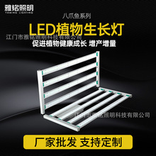 LEDֲ800W1000W1200Wצ~Lֲaled grow light