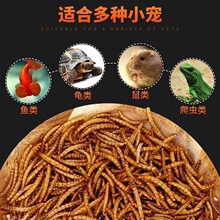 仓鼠粮食刺猬面包虫干 仓鼠主饲料零食龟粮鱼食仓鼠用品 黄粉虫干