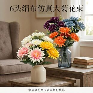 �羳���\�շ��滨���⻨�@�쾰���滨�Ƶ���üҾ�ͨ���b�������