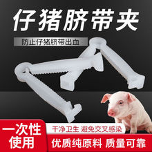 小猪脐带夹仔猪护脐带小猪猪用猪剪断齐断脐扣养猪设备兽用仔猪