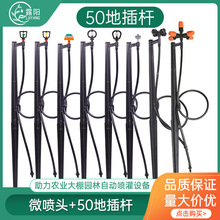 �Ԅӝ�����50�ز�΢���^�r�I����F��΢���O��@ˇ��ƺ��ˮ���F��