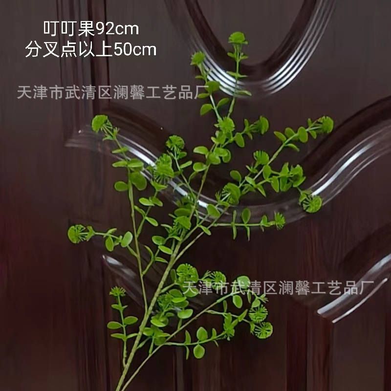 새로운 녹색 딩딩 과일