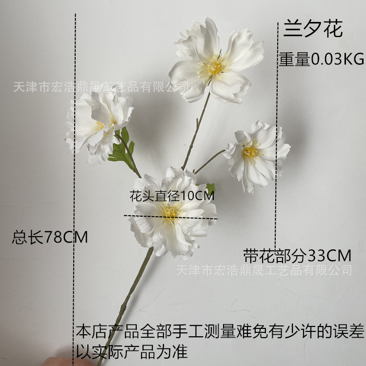 c22e6eefe45a16f8ad26bf8b71fa03