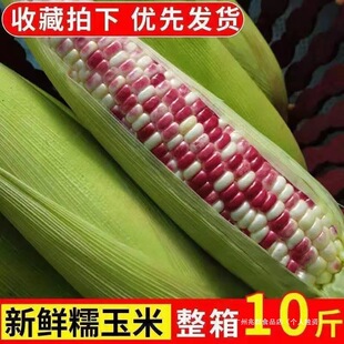 ���rŴ����3/9�ﮔ����Ŵ������������ţ�̻�Ŵ���װ�����Ǽ�ʳ