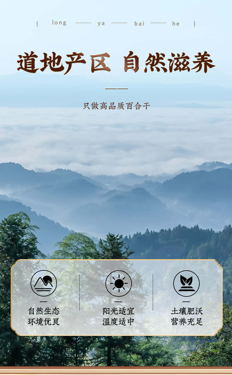 Dried Longya Lily Bulb Slices Bai He 250g with Polygonatum and Poria Soup Tea Grade key features