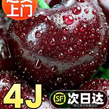 ����܇�������rˮ������������]5���ЋD�Y���b�����5j3j4j