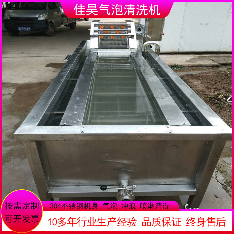 小型果蔬苹果清洗机器 全自动水果清洗打蜡机 气泡蔬菜清洗机