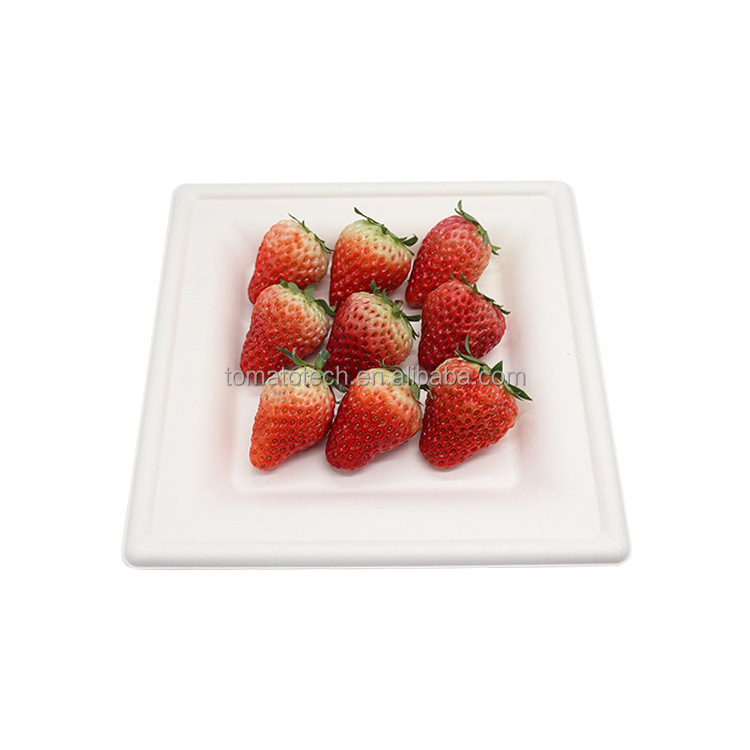 Wholesale 6 inch sugarcane pulp tableware bamboo pulp degradable disposable degradable tableware dinner plate compostable square plate