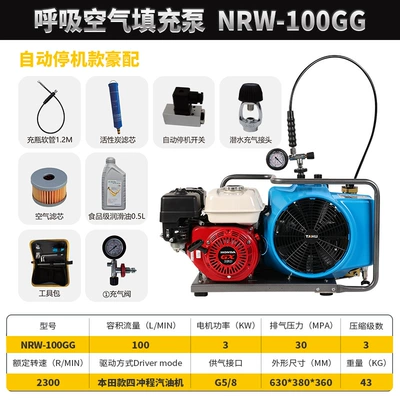 Hava kompressorları | Pump 4500Psi - nrw-100gg-gasoline-automatic-luxury-equipment-comes-with-diving-inflator-head