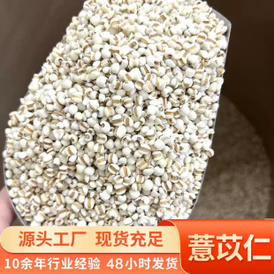 ����С޲��޲����޲���ʮ�����؛ܛŴ޲�����������l�oѬ��o����