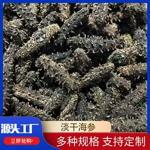 [长岛淡干海参产地直发礼盒肉质饱满多规格干海鲜]
