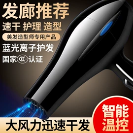 电吹风;卷发/直发器;电子灭蚊器