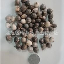 ������,������,���l��ș�Ĳ�����,޲�ӌ�ֲ��Ұ��޲�ӵĮa��