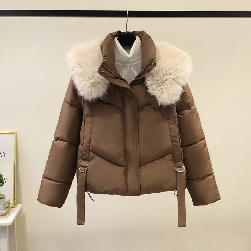 Invierno de 2025, ropa de algodón corta de moda coreana, abrigo de algodón de cuello vertical, abrigo de mujer grueso, cálido y suelto.
