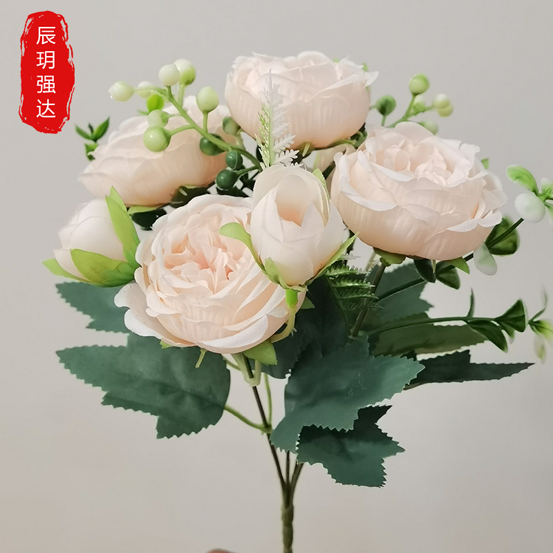 샴페인